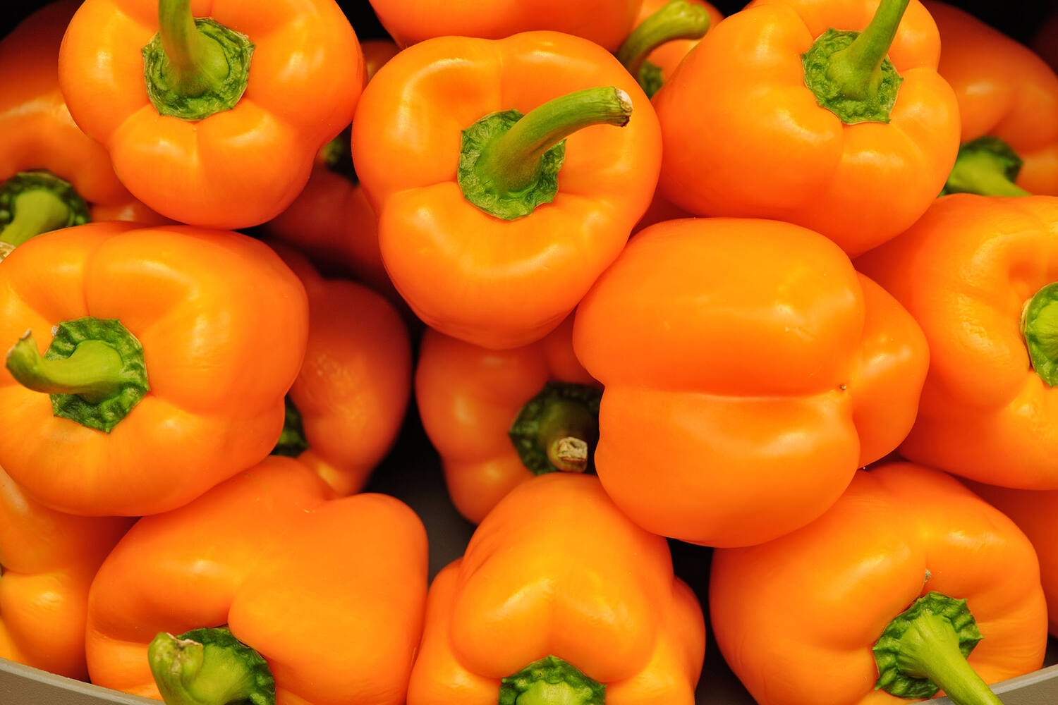 Paprika oranje verpakt 3st stuk 2
